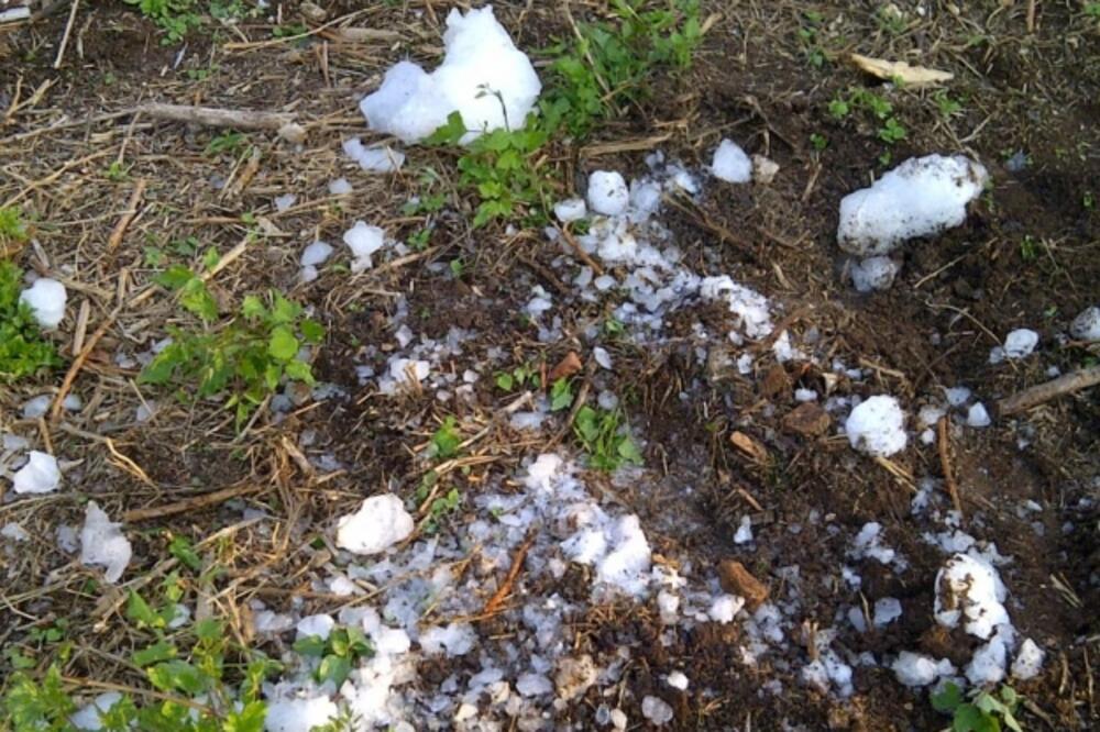 led, Istra, Foto: Glas Istre