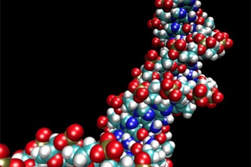 geni, Foto: Chicagonow.com