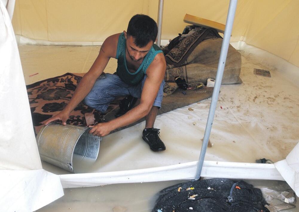 Konik, kamp, šatori