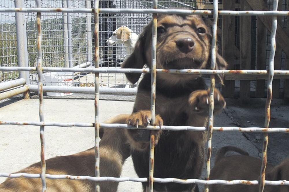 azil, Pljevlja, Foto: Goran Malidžan