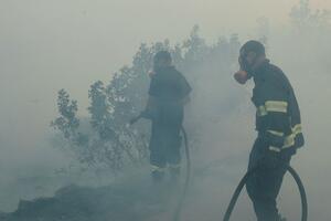 Lokalizovano svih 11 požara u podgoričkoj opštini