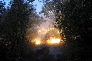 U Nikšiću aktivna četiri požara