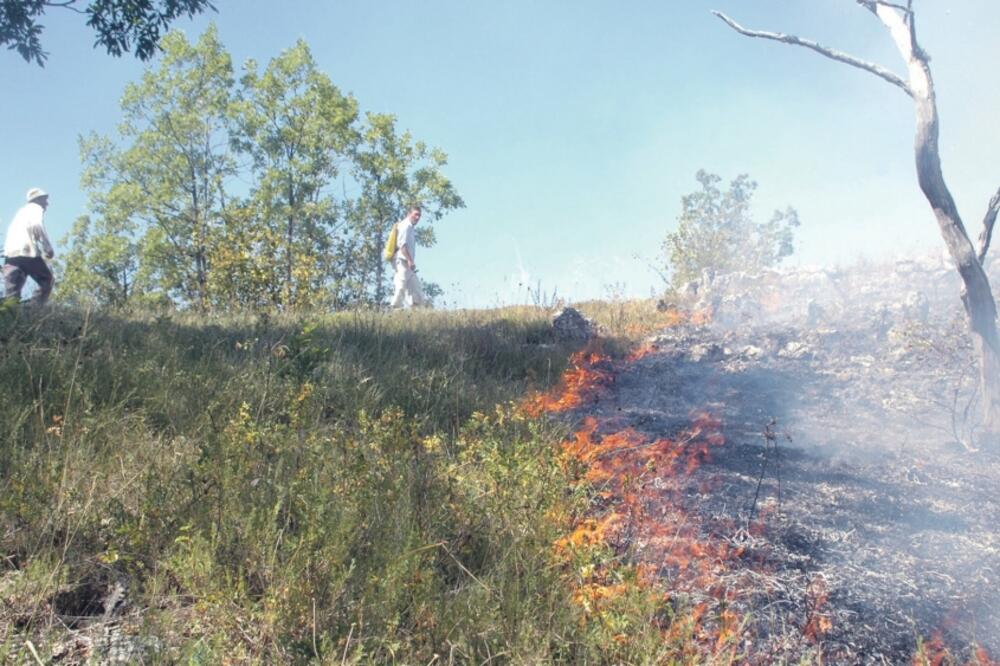 Požari Gornja Brestica, Foto: Ivan Petrušić