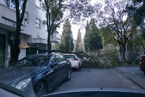Jak vjetar u Podgorici obara drveće i "nosi" krovove