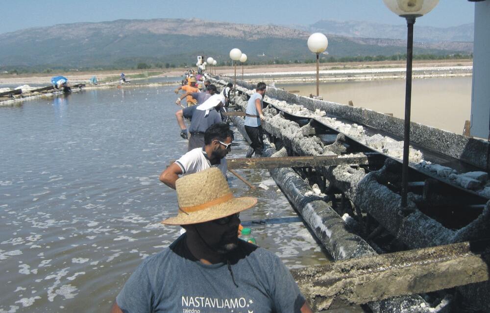 Solana, Ulcinj, berači soli