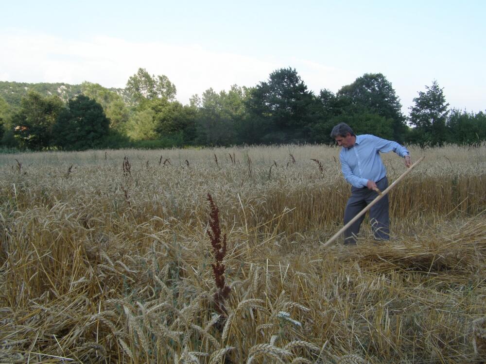 Branislav Đuranović