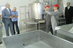 U Danilovgradu počeo da radi pogon za proizvodnju sira