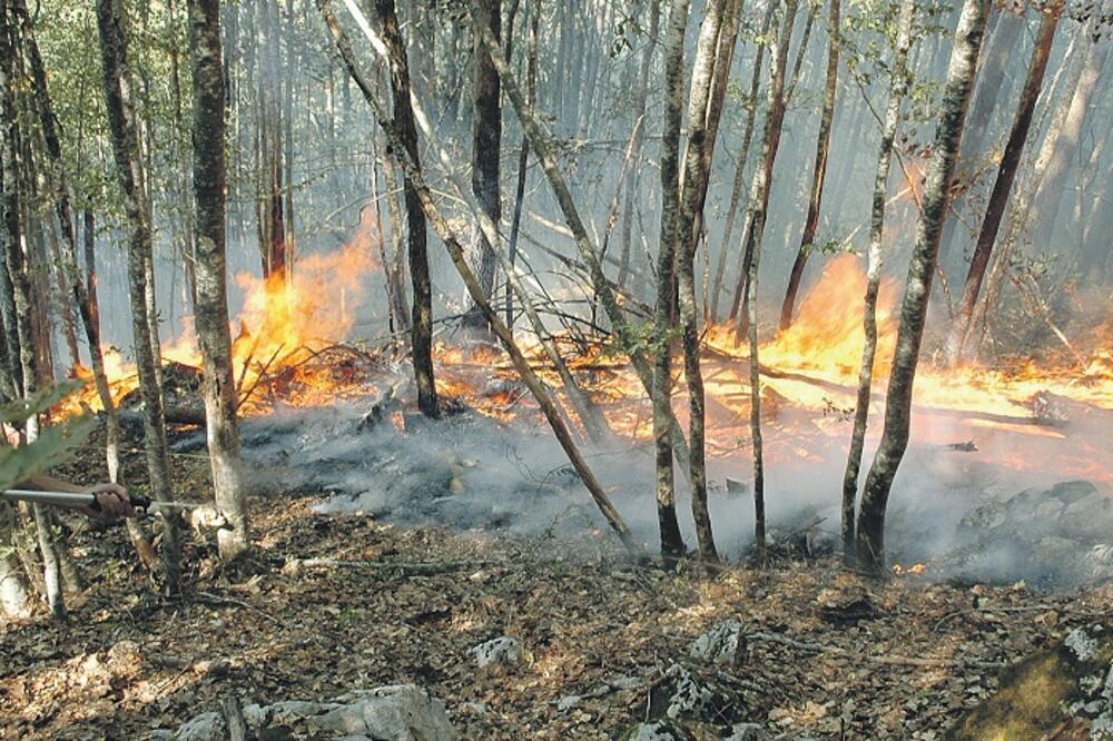 požar, Nikšić, Foto: Ivan Petrušić