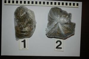 Pljevljak uhapšen dok je pokušavao da proda marihuanu?