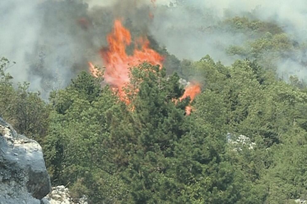 Cetinje, Bokovo, požar, Foto: Danijela Lasica