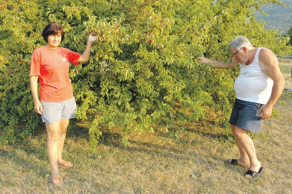 Mirjačić, Foto: Ivan Petrušić