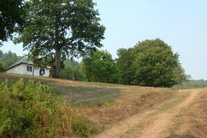 Mojkovac: Muškarac ubijen na 15 metara od kuće
