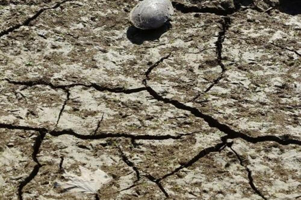 Suša Balkan, Foto: Beta