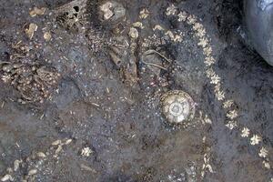 Beograd: Pljačkali grobove, dobili 33 godine