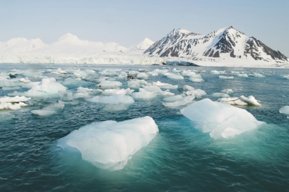 Arktik, Foto: Shutterstock.com