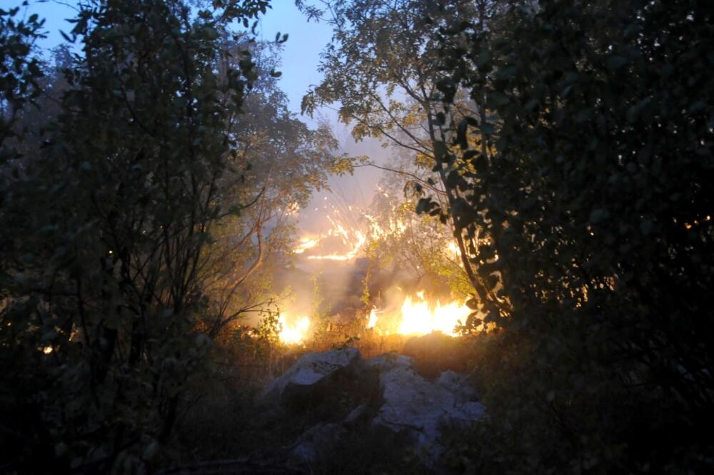 požar Bandići, Foto: Luka Zeković