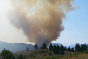 Ne jenjavaju požari u okolini Cetinja
