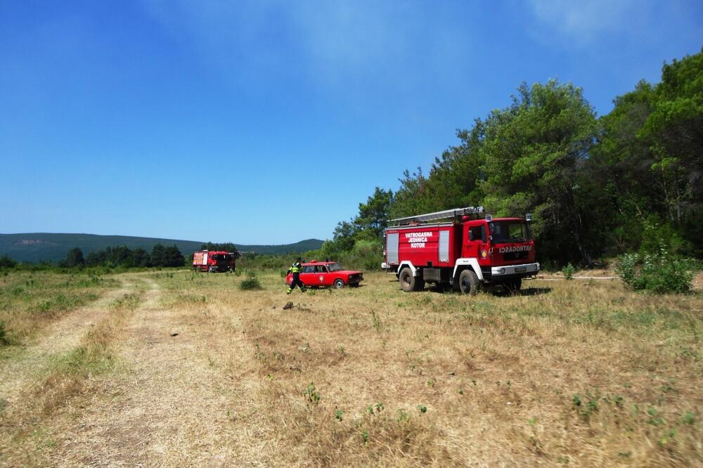 Požar Tivat, Vatrogasci, Foto: Siniša Luković