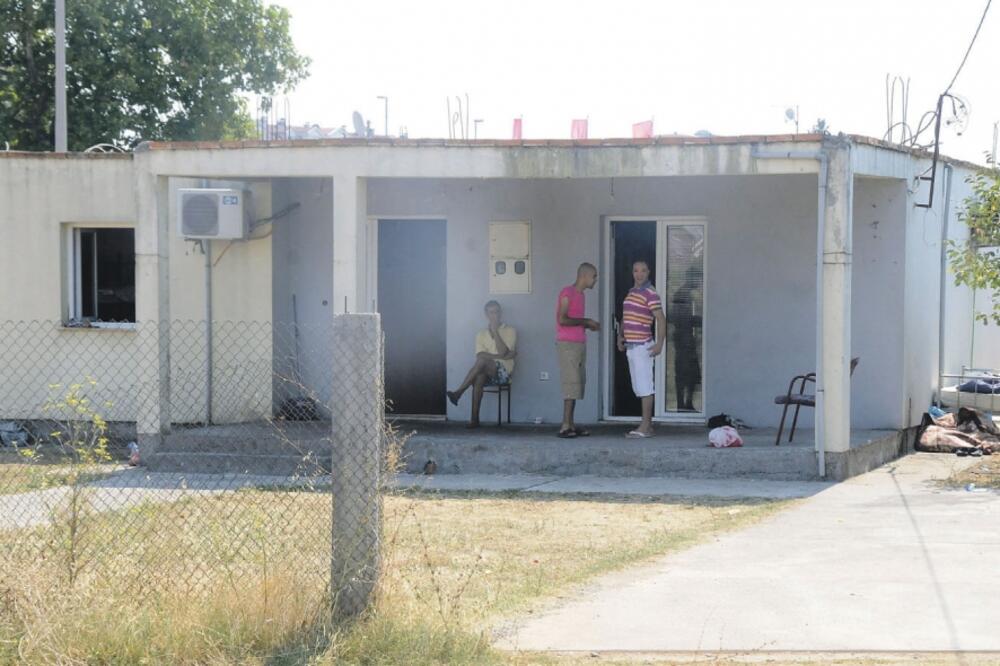 azilanti, konik, Foto: Zoran Đurić