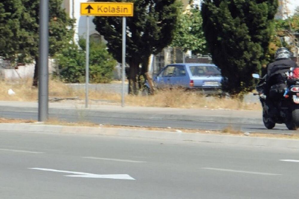 Zlatica, trke, Foto: Luka Zeković