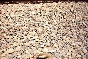 Sa pruge u Šušanju uklonjene lešine