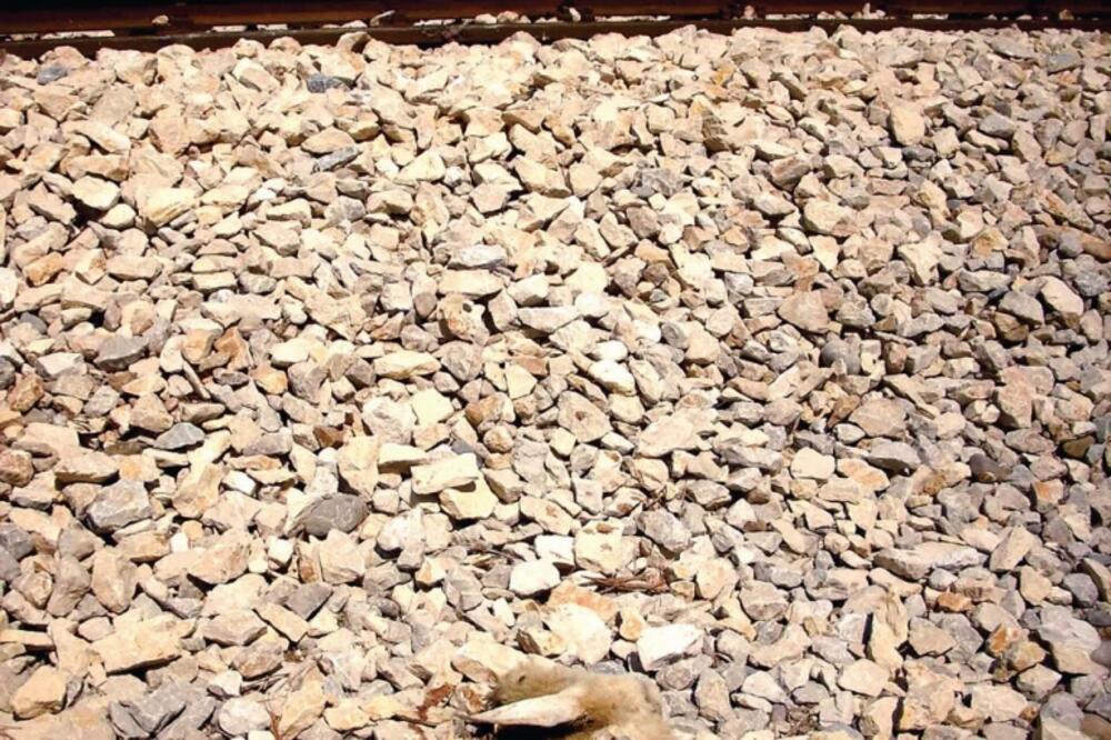 ovce šušanj, Foto: Anto Baković