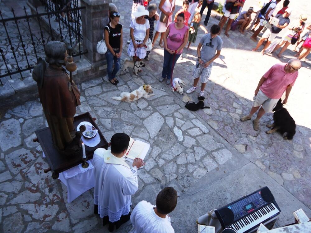 Sveti Rok, blagoslov životinja, kućni ljubimac