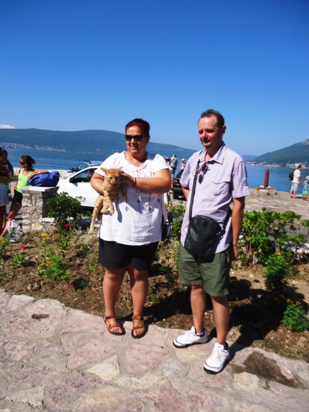 Sveti Rok, blagoslov životinja, kućni ljubimac