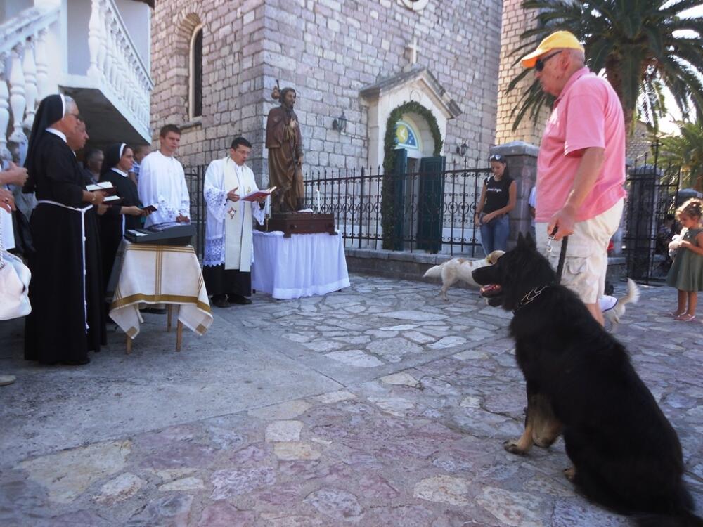 Sveti Rok, blagoslov životinja, kućni ljubimac