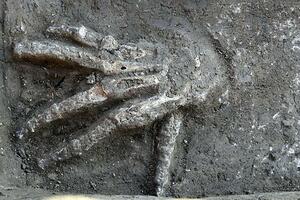 Egipat: Arheolozi iskopali 16 odsiječenih šaka