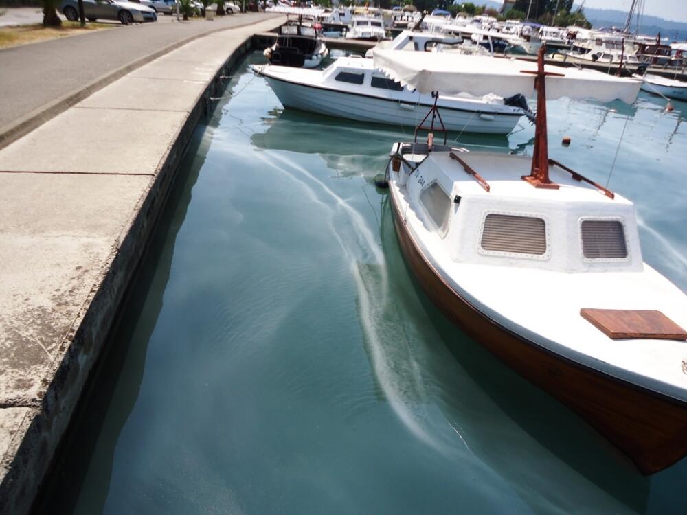 Kalimanj, Ekološki incident, Bijelo more