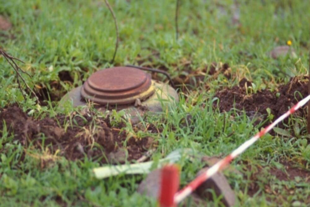 Minsko polje, Foto: Index.hr