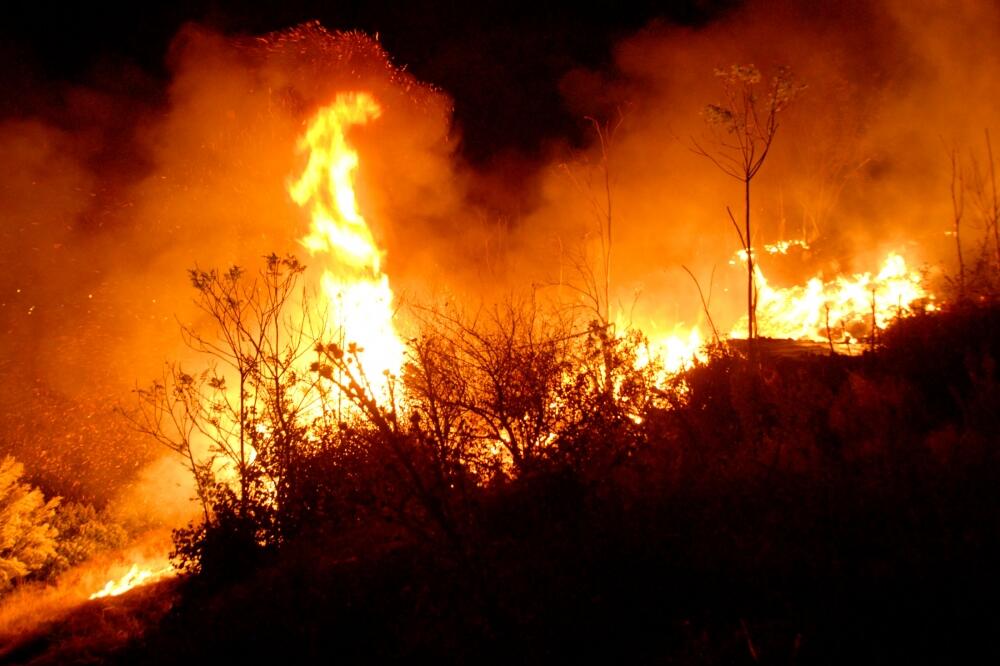Požar, Podgorica, Foto: Zoran Đurić