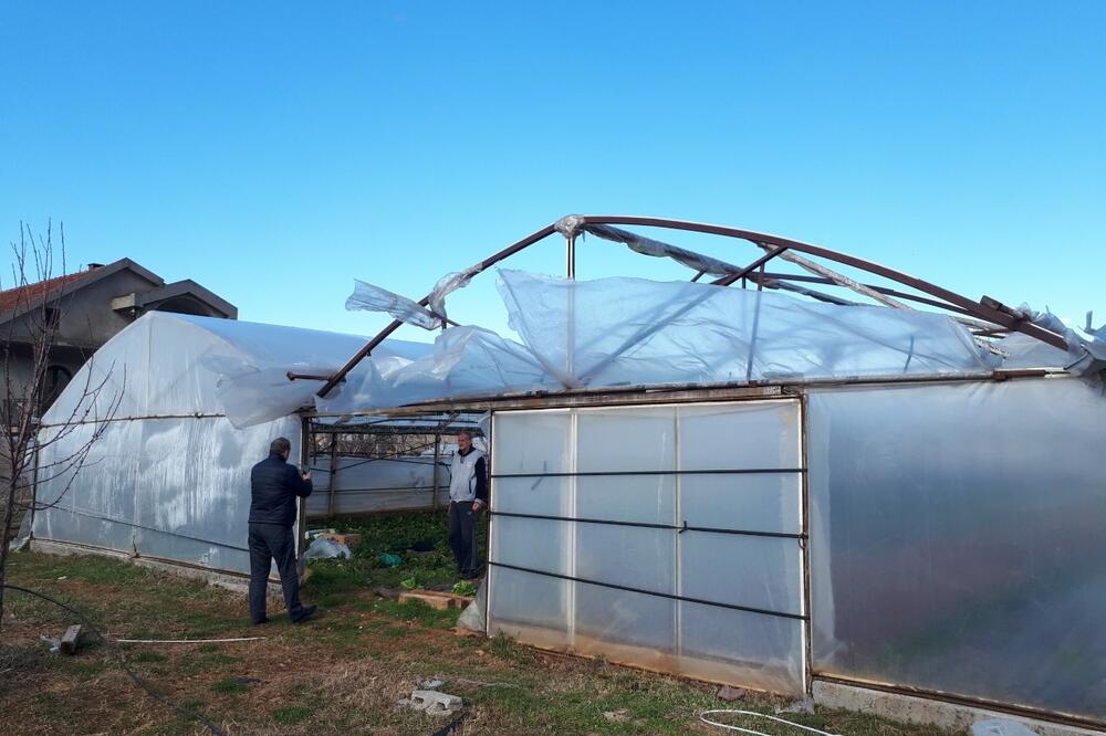 Pričinjena šteta, Foto: Ministarstvo poljoprivrede i ruralnog razvoja