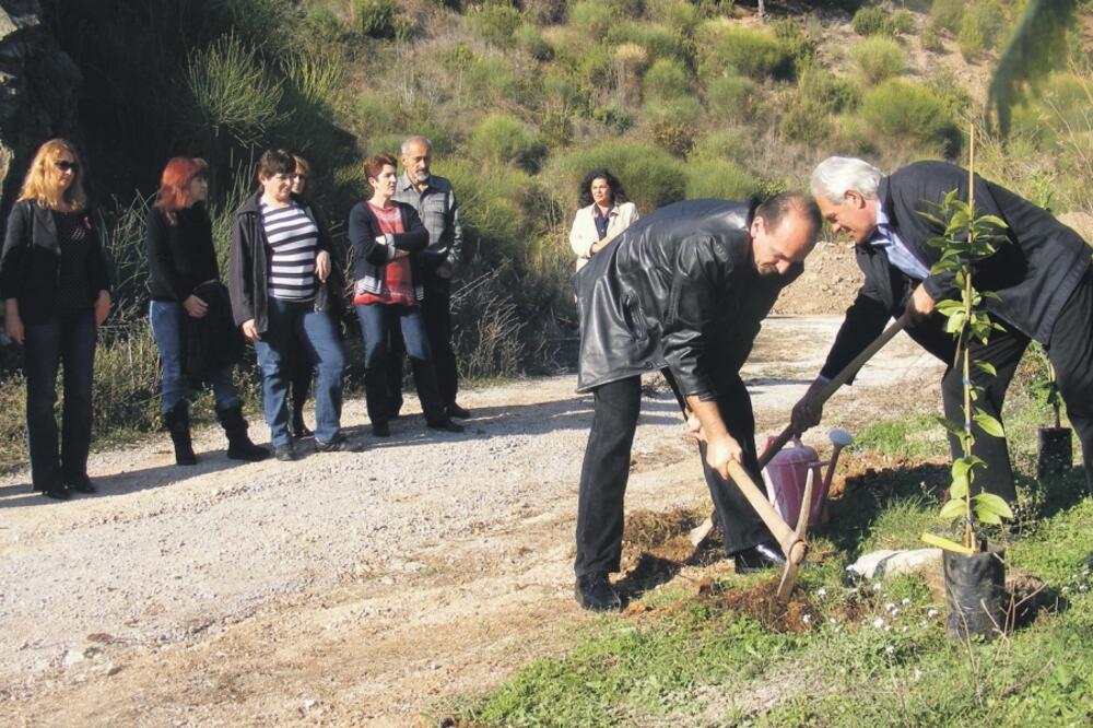 zgrada Solidarnosti Budva, Foto: Vuk Lajović