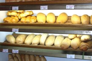 Na jesen vjerovatno novo poskupljenje hljeba