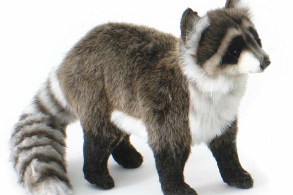 rakun, Foto: Noahsanimalfigurines.com