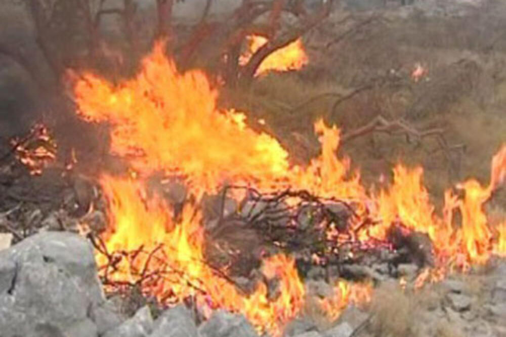 požar krimovici, Foto: Skala radio