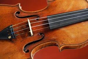 Stradivarijeva violina pronađena na birou za izgubljene stvari