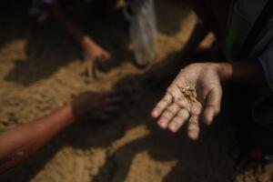 Do 2030. naglo smanjenje siromaštva u svijetu