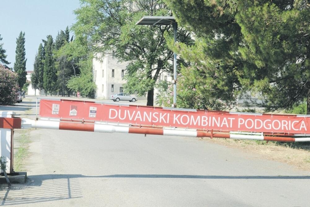 Duvanski kombinat Podgorica, Foto: Savo Prelević