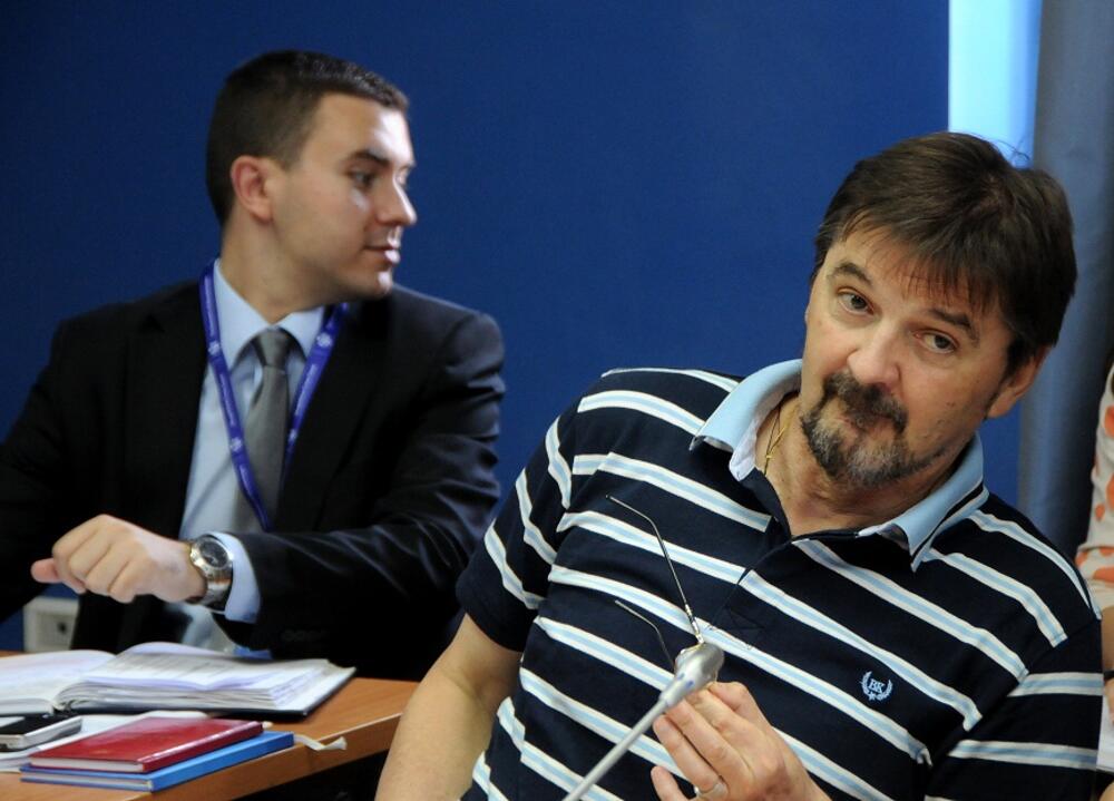 Ustavni odbor, Miodrag Vuković