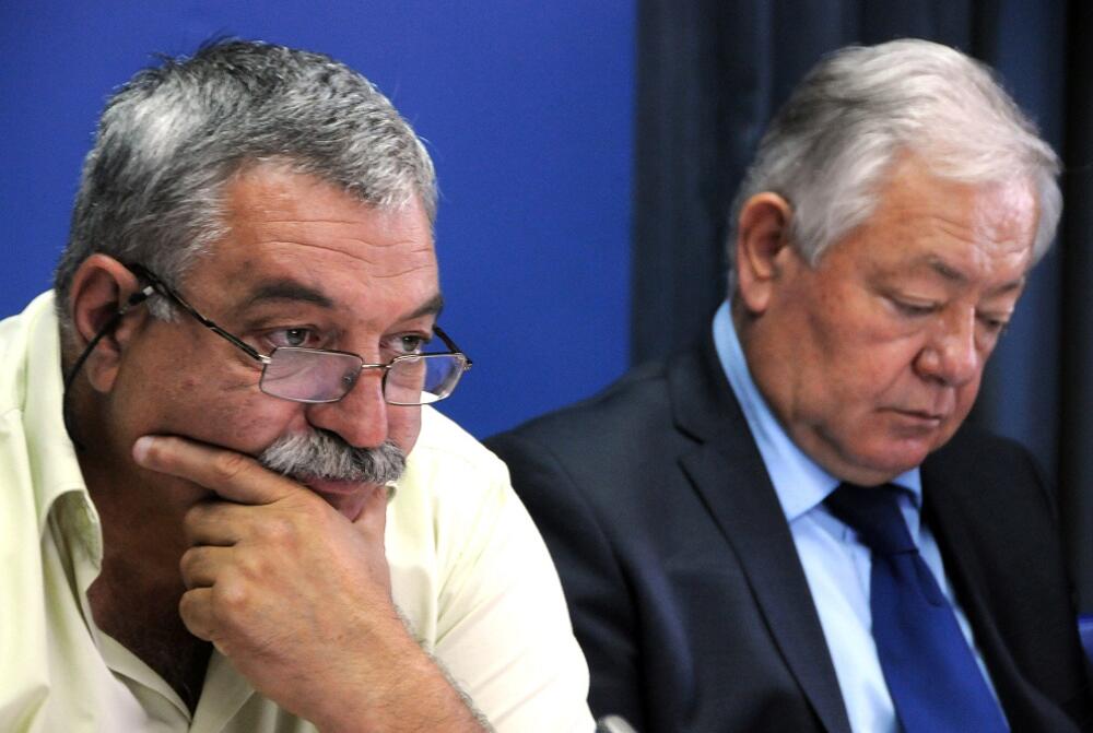 Ustavni odbor, Džavid Šabović