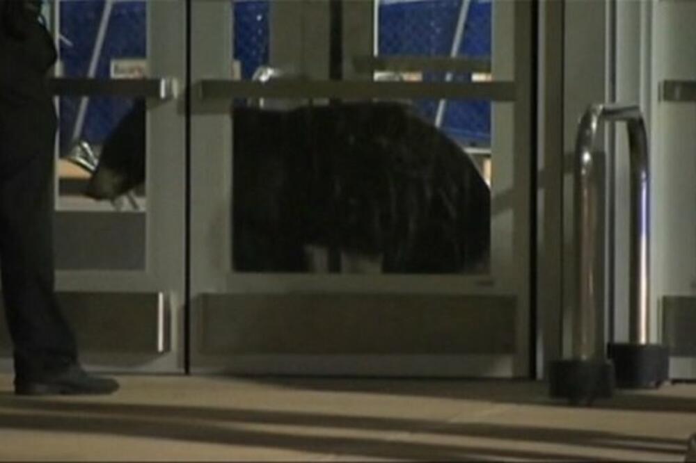 medvjed, Foto: News.bbcimg.co.uk