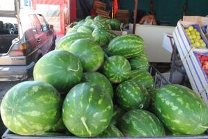 Proizvođači iz Zete se nadaju da će prodati lubenice