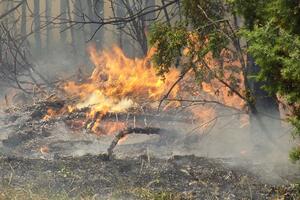 Kritično u selu Mataruge: Vatra prijeti kućama Kneževića