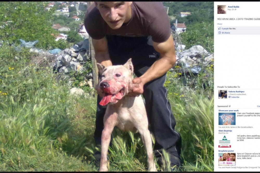 Anel Babić, klanje pasa, borbe pasa, Foto: Facebook