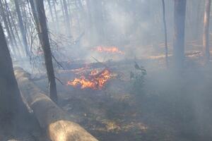 Vatrena stihija: Lako je naći krivce