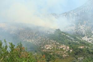 Uhapšen Nebojša Živković koji je izazvao požar u Sutomoru