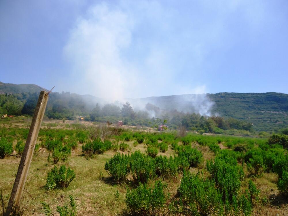 Požar Tivat, Vatrogasci